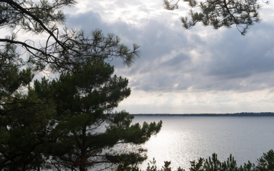 Immobilier bassin d’arcachon : envolée des prix et villas de charme