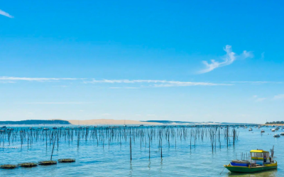 Magie de pyla sur mer entre dune, forêt et océan