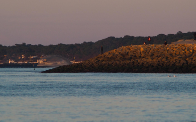 Immobilier arcachon records et renouveau inédit sur le bassin
