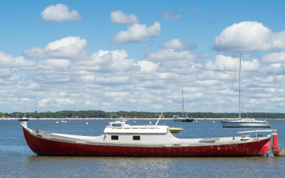Immobilier bassin d’arcachon en plein essor entre terre et mer