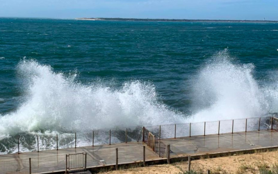 Échappée à la dune du Pilat et Pyla sur Mer