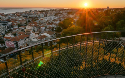 Immobilier bassin d’arcachon : boom des prix et de la demande