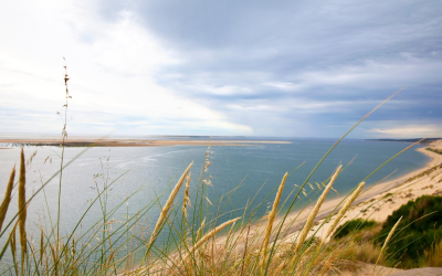 Immobilier sur le bassin d’arcachon flambe et attire plus d’acheteurs