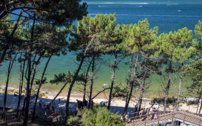 Pyla sur mer envoûte dune, villas et art de vivre