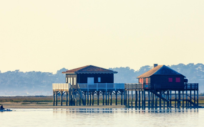 Investissement immobilier bassin d’arcachon : opportunités, conseils et tendances rentables 2023-2024