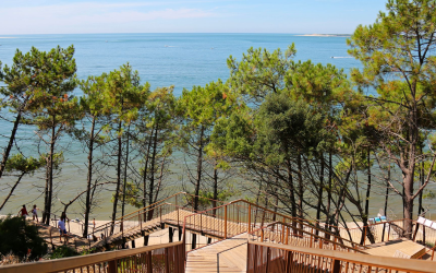Évasion et découvertes sur la dune du Pilat et alentours
