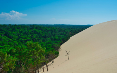 Évasion totale à Pyla sur Mer entre dunes et océan