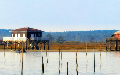 Immobilier bassin d’arcachon : prix record et demande soutenue