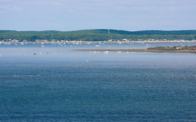 Immobilier bassin d’arcachon : flambée, pyla, tendances et astuces pour investir